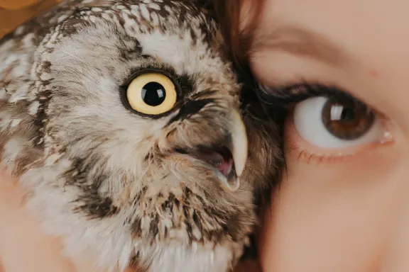 Kaszinó Welcome Bingo Támogatás